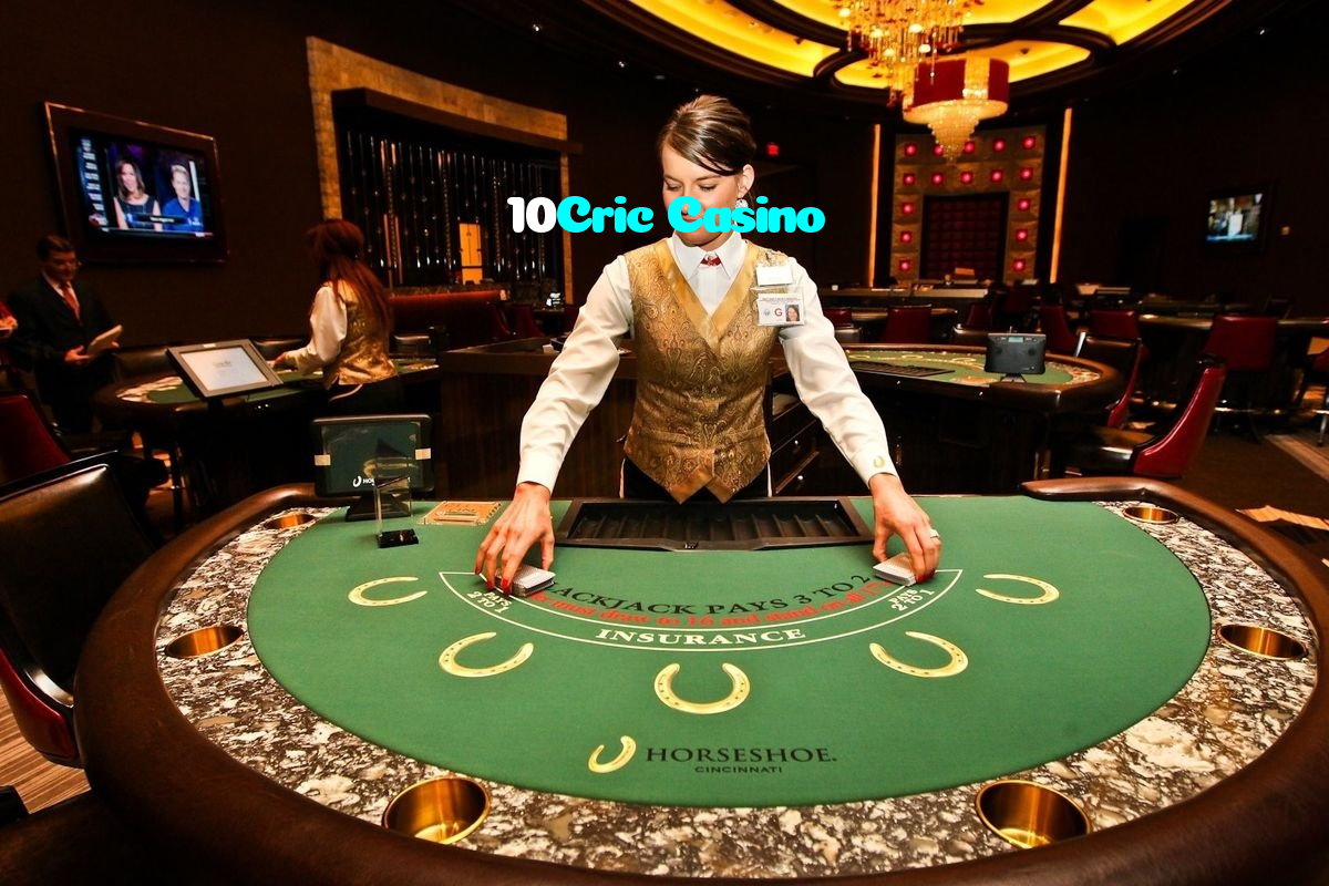 available types of 10Cric Casino bet including pre-match live express and system bets